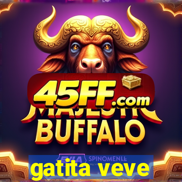 gatita veve
